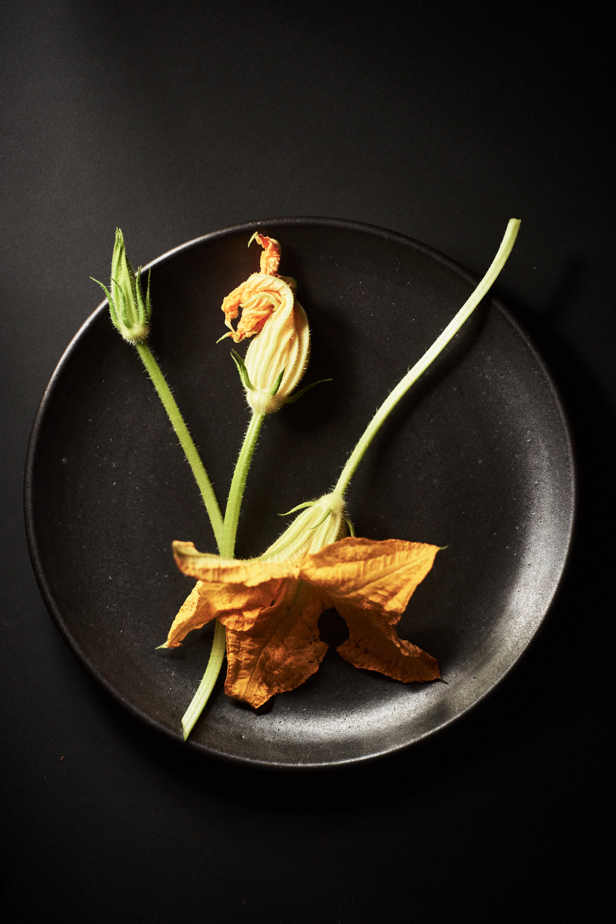 Jennifer-May-NYC-Food-Photographer-squash-blossoms