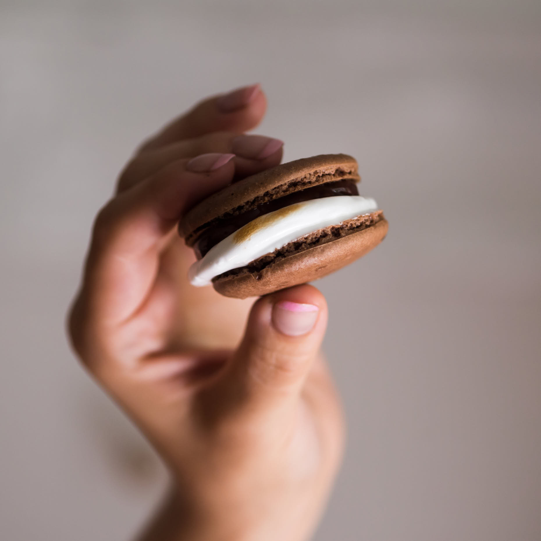 NYC-Food-Photographer-Cookbook-Jennifer-May-Erin-McDowell-Macaron-Smore