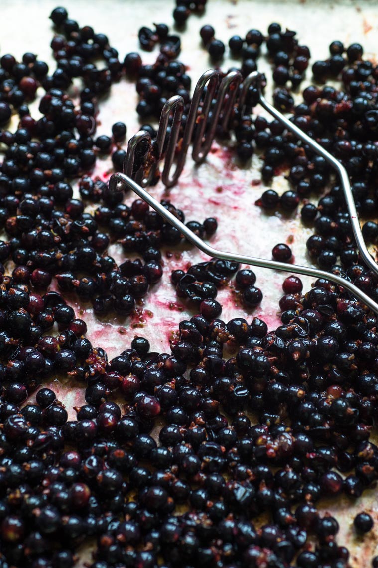 NYC Food Photographer Brooklyn Jennifer May Black Currants