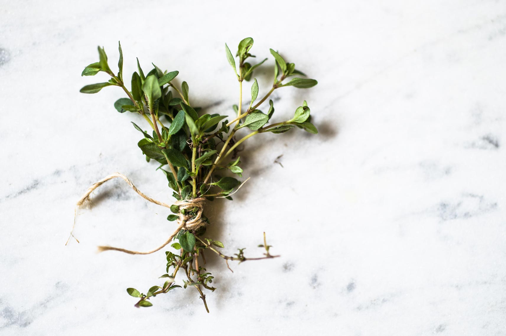 Wild Thyme Hudson Valley Foraged Food Photographer Jennifer May