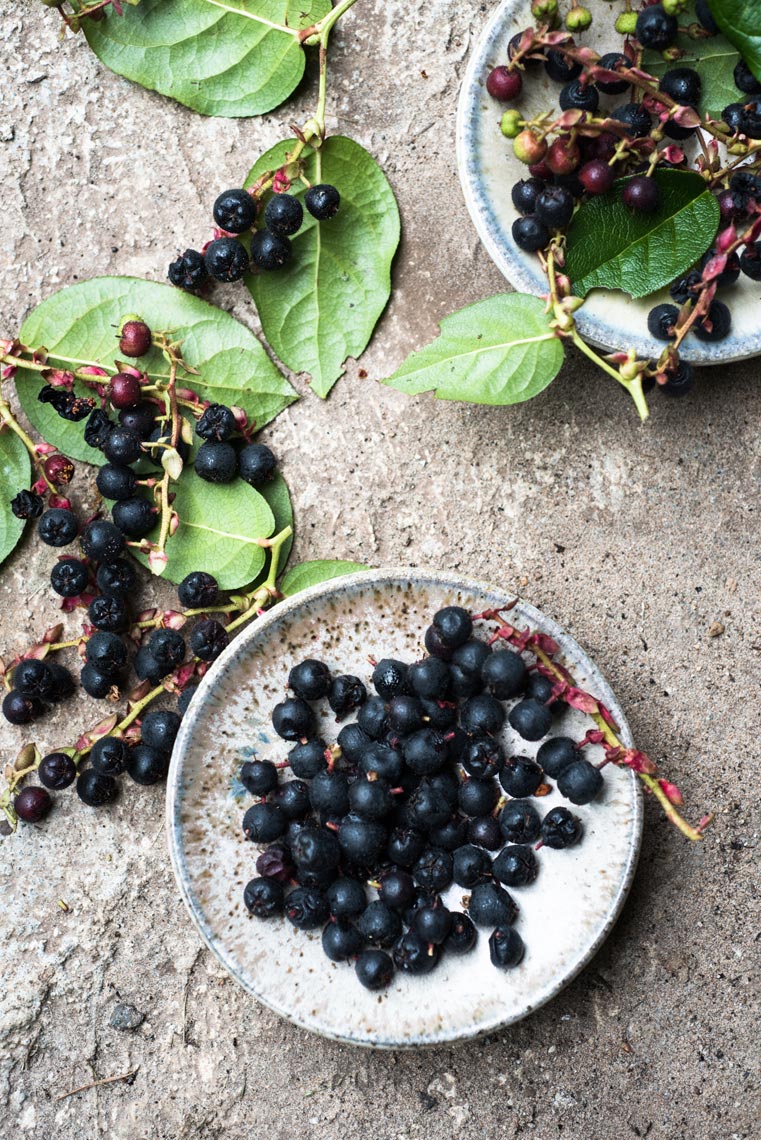 Salal Berries Food Photography Pacific Northwest Jennifer May